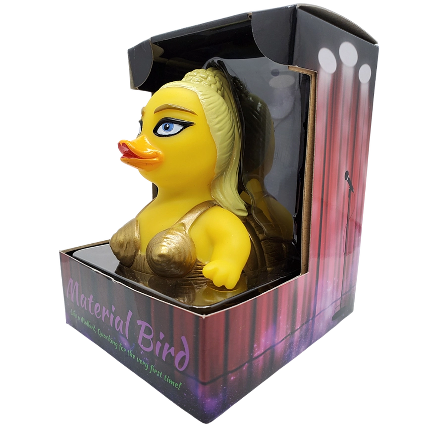 The Material Bird